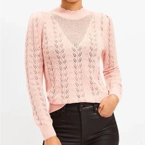 LOFT Scallop Neck Pointelle Sweater